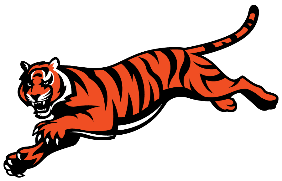Cincinnati Bengals 1997-Pres Alternate Logo DTF transfer for t shirt